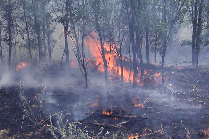 Рятувальники ліквідували на Миколаївщині лісову пожежу