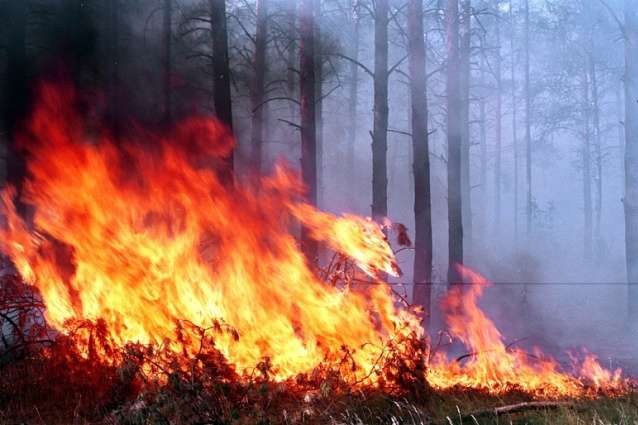 У Києві та області оголошено про високу пожежну небезпеку
