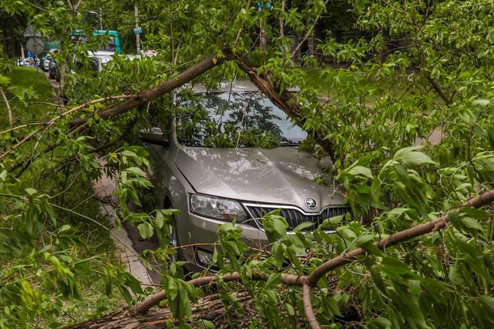 Вітер наробив шкоди в Києві: дерево впало на авто і перегородило дорогу (фото, відео)