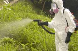 Гідропарк і ще два парки оброблено проти кліщів (відео)