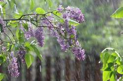 Сегодня в Украине будет очень тепло, но с дождями