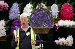 Chelsea Flower Show. Как проходит ежегодная выставка цветов в Лондоне