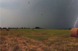 Україну накриють дощі з грозами (карта)