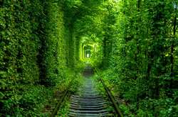 «Тоннель любви» на Ривненщине откроет новый туристический сезон