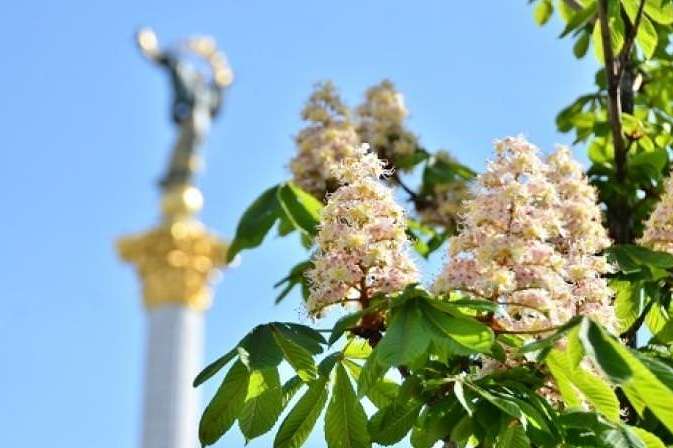 Столиця святкує День Києва: які заходи чекають на киян та гостей міста