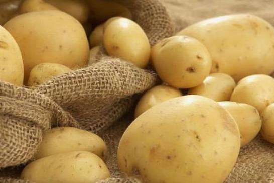 Ціни на ранню картоплю впали до найнижчого за три роки рівня
