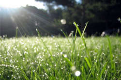 В Україні 27 травня очікується тепла погода, подекуди дощитиме