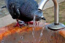 У вівторок в Україні буде спекотно: у деяких областях повітря прогріється до 30°C