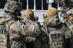 Причиною активізації в СБУ стала заява заступника голови представництва ЄС в Україні Анніки Вайдеманн, яка висловила думку про те, що Служба безпеки України повинна бути позбавлена нинішніх функцій в сфері «економічної і організованої злочинності&ra