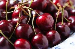 Минулого року 80% усієї української черешні продавали у Росію через Білорусь та Молдову