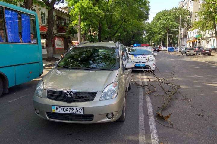 В Одесі гілка впала на автомобіль