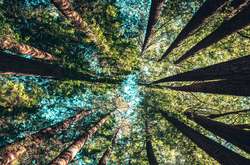 unsplash / @mischievous_penguins