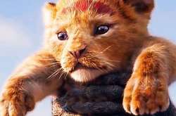 Новому «Королю Льву» пророчат огромные сборы после успеха «Аладдина»