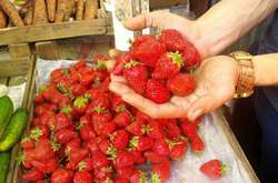 Сьогодні у Києві пройдуть масові ярмарки: де дешевше купити продукти (адреси)