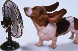 В нескольких областях Украины на выходных ожидается до +35