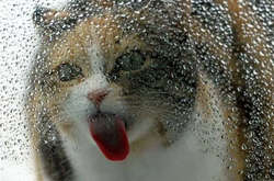 Синоптики прогнозируют в Украине грозы и жару в первый день лета