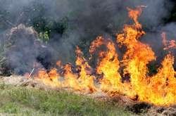 «Вогняна» статистика: з початку року сталося понад 300 пожеж в екосистемах Києва
