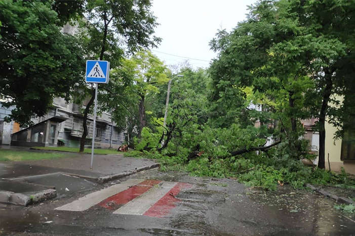 Негода в Одесі: повалені дерева заважають автомобілям і трамваям