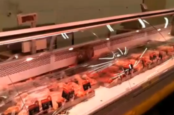 В киевском супермаркете кот пробрался в витрину с мясом (видео)