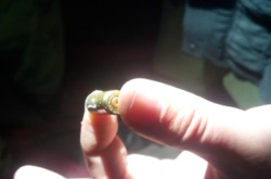 Знайдена гільза на місці вбивства 5-річного хлопчика