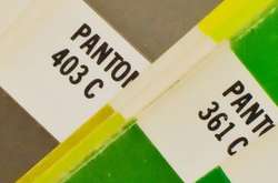 Pantone показала три новых цвета года, чтобы привлечь внимание к исчезающим видам кораллов