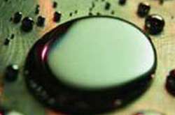 СБУ блокувала діяльність торгівців ртуттю (фото)