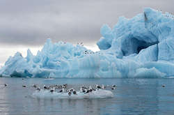Пентагон побоюється самостійних дій Росії в Арктиці