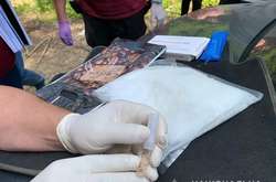 У Закарпатській області поліція вилучила наркотики на понад 2 млн гривень