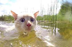 У вівторок Україну розпече до 34°C (карти)