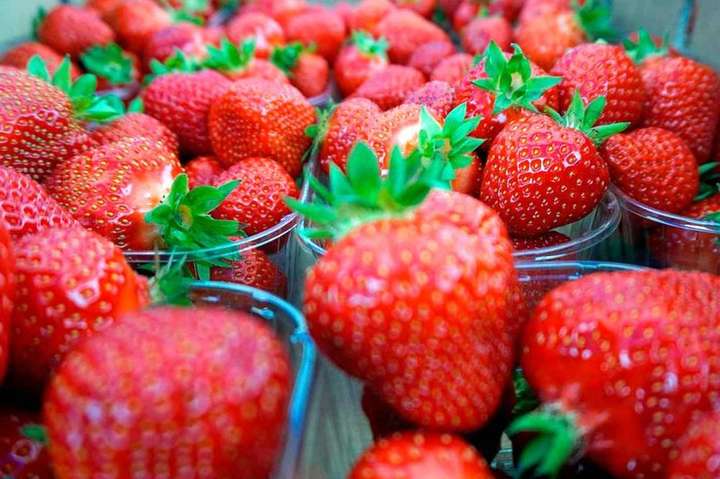 Полуничний сезон у розпалі: де у Києві купити недорого запашну ягоду (адреси)