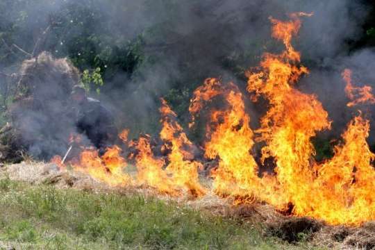 У Києві оголошено надзвичайний рівень пожежної небезпеки