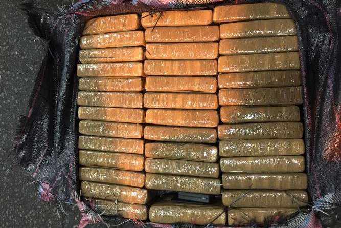 В Петербурге в контейнере с консервами найдены 400 кг кокаина