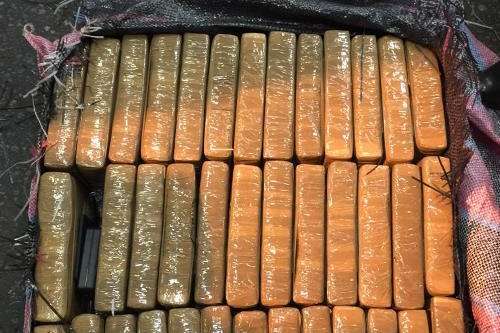 В порту Санкт-Петербурга виявили 400 кг кокаїну
