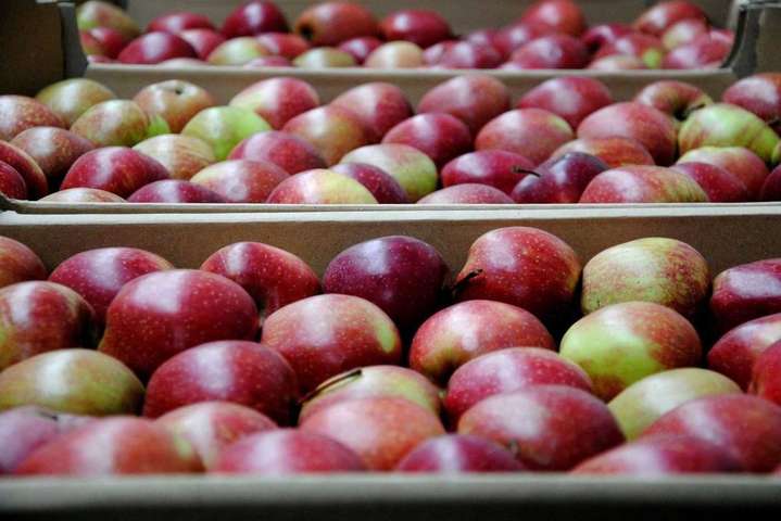 Україна у травні збільшила імпорт яблук у сім разів