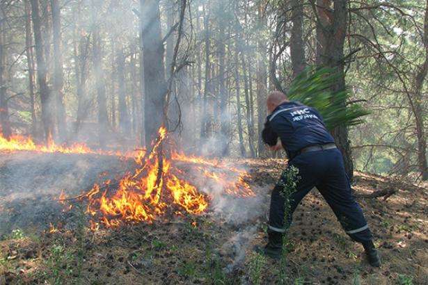 В Україні оголосили найвищий рівень пожежонебезпеки 