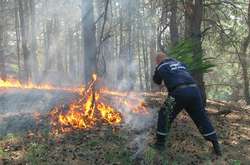 В Україні оголосили найвищий рівень пожежонебезпеки 