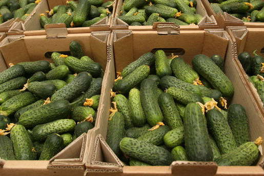 Хрусткі огірки, солодка полуниця: киян запрошують на продуктові ярмарки (адреси)