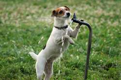 На выходных в Украине будет жарко – синоптик