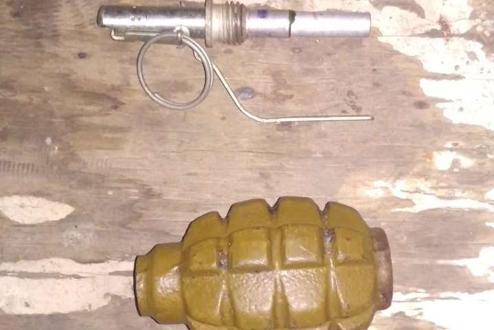 Правоохоронці вилучили гранату та направили на експертизу - У молодика на Київщині вилучили гранату, яку він «знайшов у лісі»