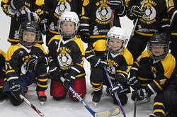 Невдовзі після окупації в Сімферополі з'явився дитячий хокейний клуб «Южниє Пінґвіни»