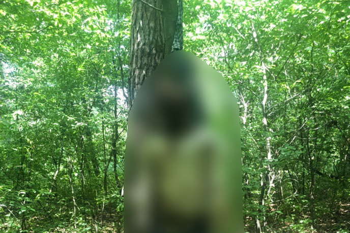 Зниклого безвісти студента знайшли повішеним у лісі в Києві (фото)