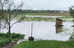 На Львівщині затопленими залишаються десятки дворів