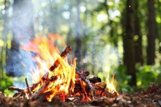 Надзвичайна пожежна небезпека зберігатиметься в Україні до кінця тижня 