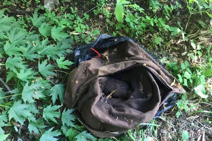 Небезпечна знахідка: біля дитсадка на Київщині виявлено сумку з боєприпасами (фото)