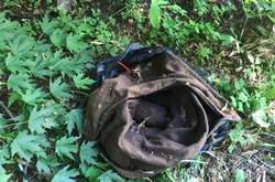 Небезпечна знахідка: біля дитсадка на Київщині виявлено сумку з боєприпасами (фото)