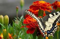 У середу спека піде з України (карта)