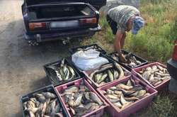 На Одещині затримали автомобіль з двомастами кілограмами риби