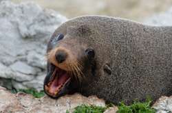 unsplash / @pic_parlance