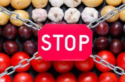 Путін продовжив продуктові контрсанкції проти ЄС до кінця 2020 року