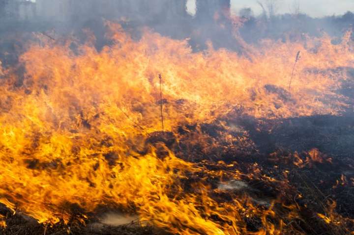 До п'ятниці у Києві збережеться надзвичайна пожежна небезпека